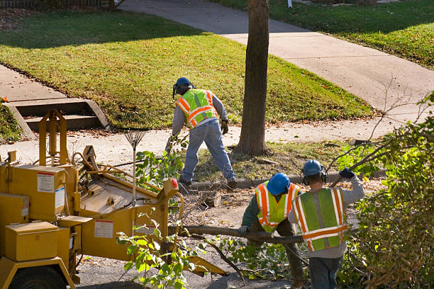 Mulching Services in Baxter, MN